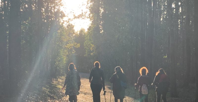 Imagen de la noticia Camino de Santiago