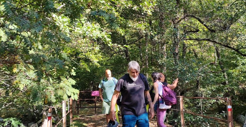 Imagen de la noticia LIFE RESET – PROGRAMA BIENESTAR EN CERDANYA VIVA