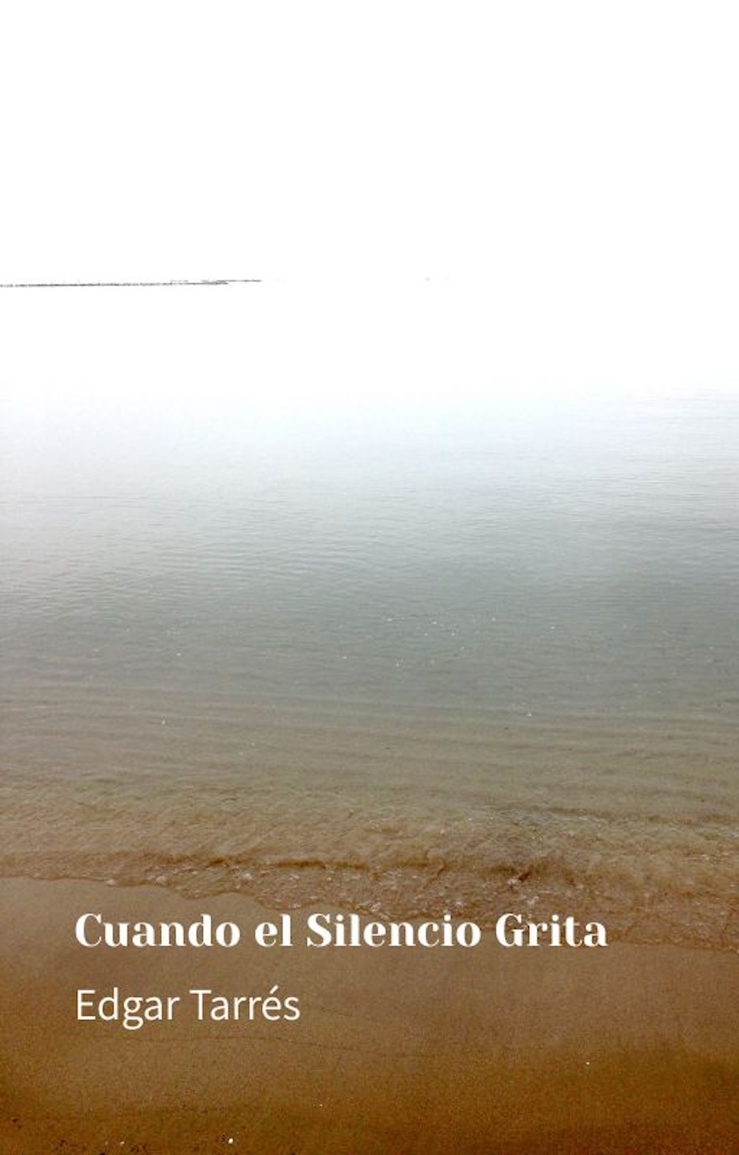 Portada de Cuando el silencio </br>grita