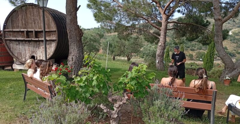 Imagen de la noticia The Mindful Eating Retreat